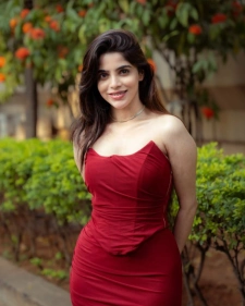 Agra Escorts